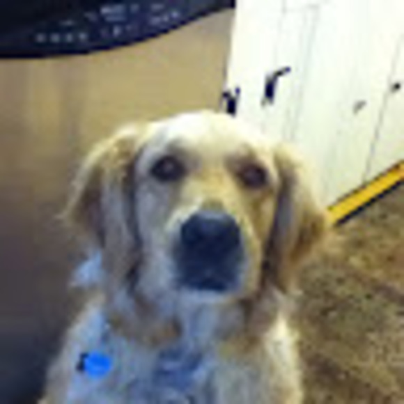 Meet your Posher, Sydney - Picture 1 of 1